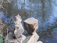 Lahnufer in Marburg mit Balance-Steinmännchen, zwei verschiedene Grössen, 2019-04-10.jpg