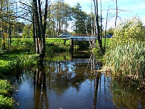 Sūduonia Liudvinave