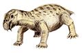 Lystrosaurus georgi um dicinodonte