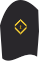 Distintivo di grado sulla manica superiore della giacca dell'uniforme di servizio