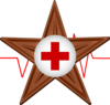 The Medic Barnstar