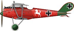 Pfalz D.IIIa do Jasta 5