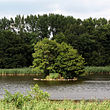 Nixeninsel im Rossendorfer Teich