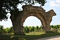 Arche surnommée le Chameau.