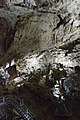   Valea Cetatii Cave