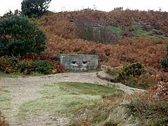 A pillbox at Gunton Denes - geograph.org.uk - 2680426.jpg