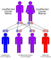 Pattern of inheritance of autosomal recessive genes