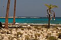 Fort George's Caye