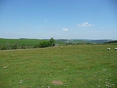 Cottage near Panty Hill - geograph.org.uk - 2966478.jpg