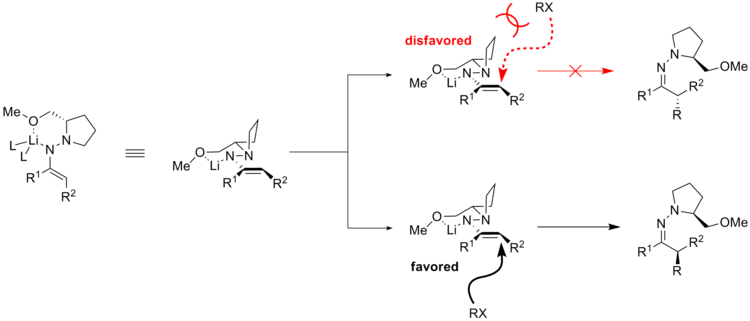 Stereoselectivity Para el alkylation paso del Enders' reacción