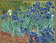 Iris, 1889. Museum J. Paul Getty, Los Angeles