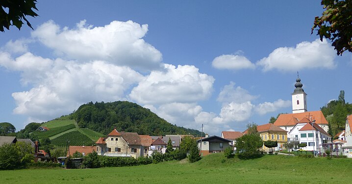 Vineyards in Pohorjie region (Kamnica, Styria west of Maribor).