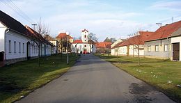 Kestřany – Veduta