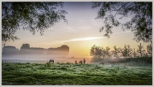 Landschap Herne met paarden.jpg