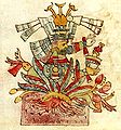 Mayahuel dans le Codex Ríos.