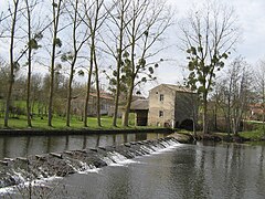 Le Thouet et le moulin à Gourgé.