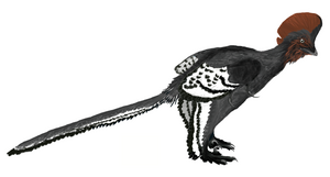 Anchiornis huxleyi - реконструкція