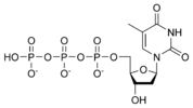 Estructura quimica de la desoxitimidina trifosfat