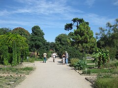 L'école de botanique en été, vue depuis la serre tropicale.