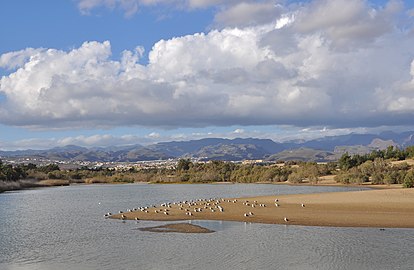 Laguna Charca de Maspalomas