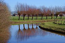 Kromme Rijn near Wijk bij Duurstede