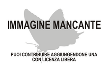 Immagine di Aenigmatinea glatzella mancante