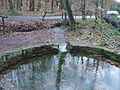 Rechte Kahlquelle (Blick in Flussrichtung)