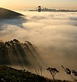 Image 11San Francisco Bay shrouded in fog, as seen from the Marin Headlands looking east. The fog of San Francisco is a kind of sea fog, created when warm, moist air blows from the central Pacific Ocean across the cold water of the California Current, which flows just off the coast. The water is cold enough to lower the temperature of the air to the dew point, causing fog generation. In this photo, the towers of the Golden Gate Bridge can be seen poking through the fog, and the Bay Bridge is visible in the distance.