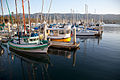 Boats in the harbor.