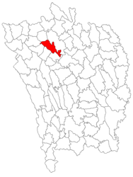 Location in Vaslui County