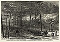 Sherman in South Carolina: The burning of McPhersonville (print version)