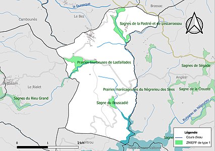 Carte des ZNIEFF de type 1 sur la commune.