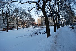 Øvre del av parken, vinter. Foto: Helge Høifødt