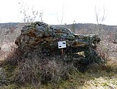 Dolmen de Peyrelevade