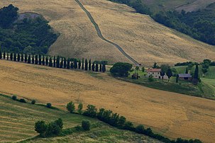 Undulating landscape in Tuscany