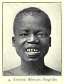 Central African man, Pygmy type