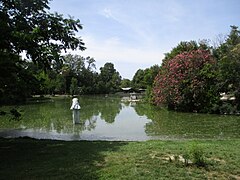 Étang du jardin à l'anglaise.