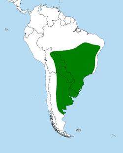 Distribución del hornero común.     Área aproximada de residencia estable.[2]​