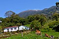 Klima ta' altitudni għolja moderata Vulkan Turrialba