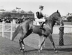 Yaralla, 1942 & 1943 winner