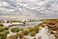 Kinburn sandbar, Ochakiv Raion, Mykolaiv Oblast