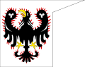 Bandiera del Ducato di Boemia (circa 870-1198)