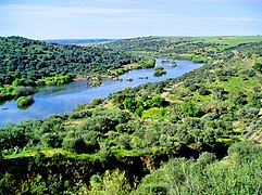 Le fleuve Guadiana à hauteur de Serpa, Alentejo.