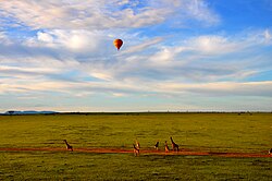 Hot Air Balloon Safari in Maasai Mara