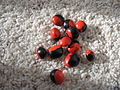 Red and black beans...