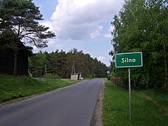 Droga w Silnie