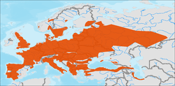 Distribución do xénero Trirurus