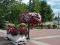 Deutsch: Im Olympischen Park:Bob mit Blumen. English: Calgary,Olympic-Park:Bob with Flowers.