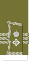 1902 to 1920 lieutenant colonel's sleeve cuff rank insignia