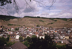 Skyline of Dernau